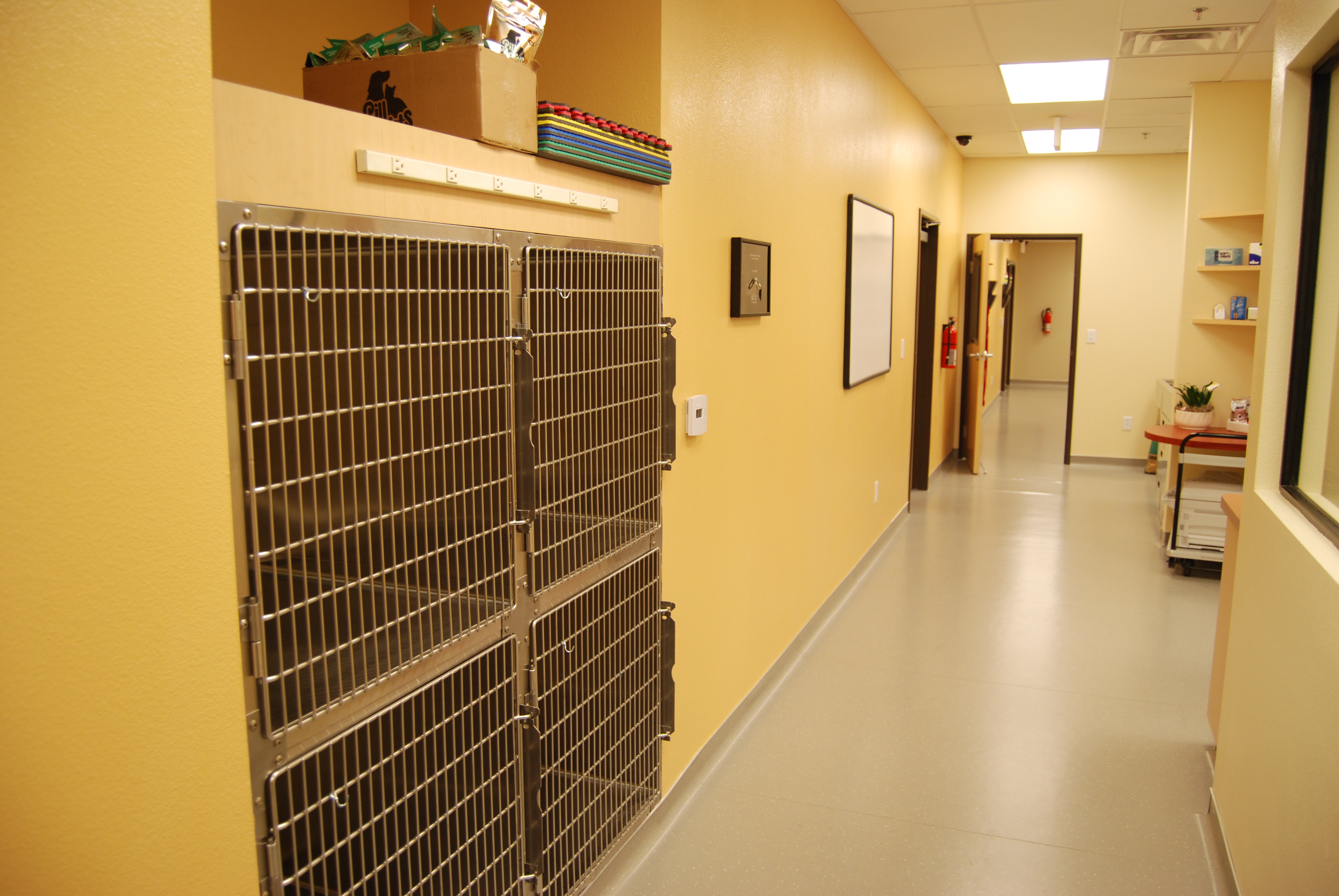 Hallway through middle of Hospital 