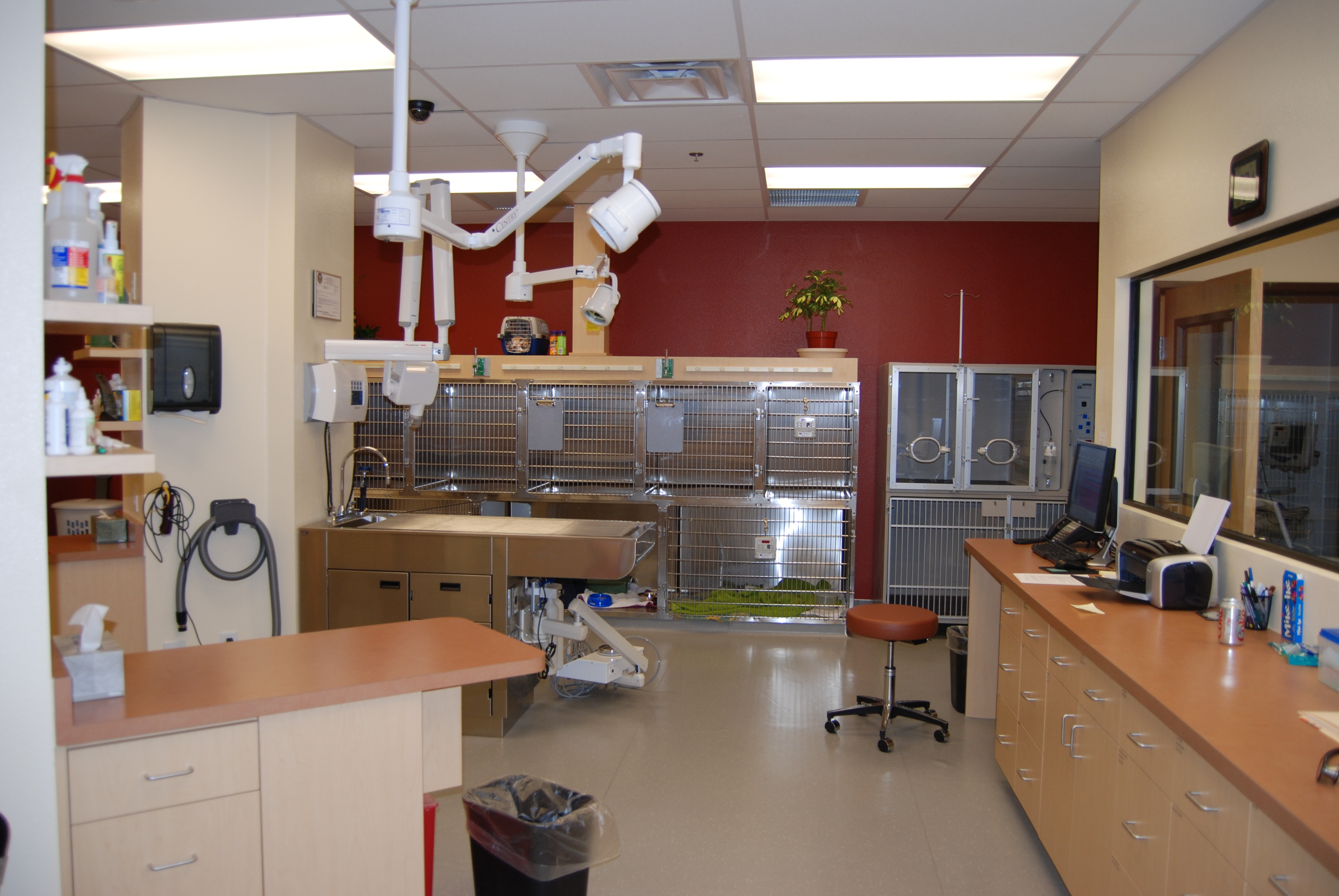 Haven Animal Hospital / Hospital Tour