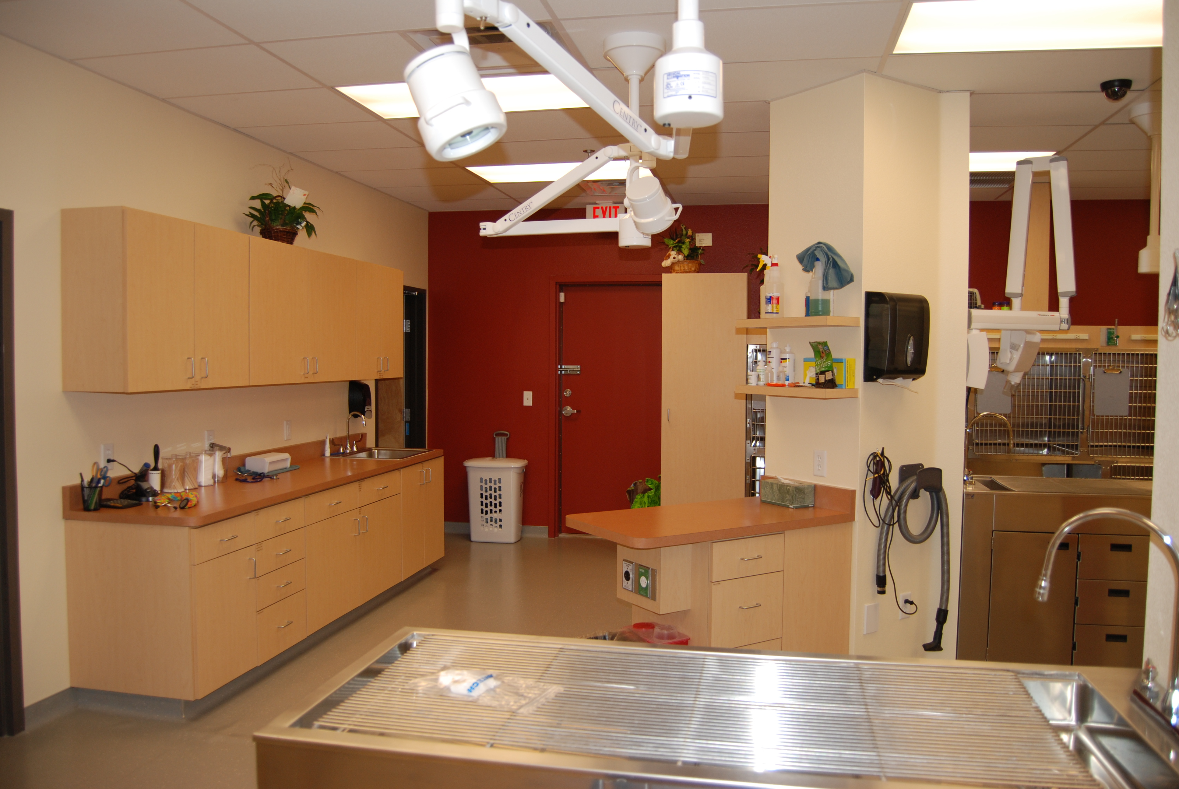 Treatment Area