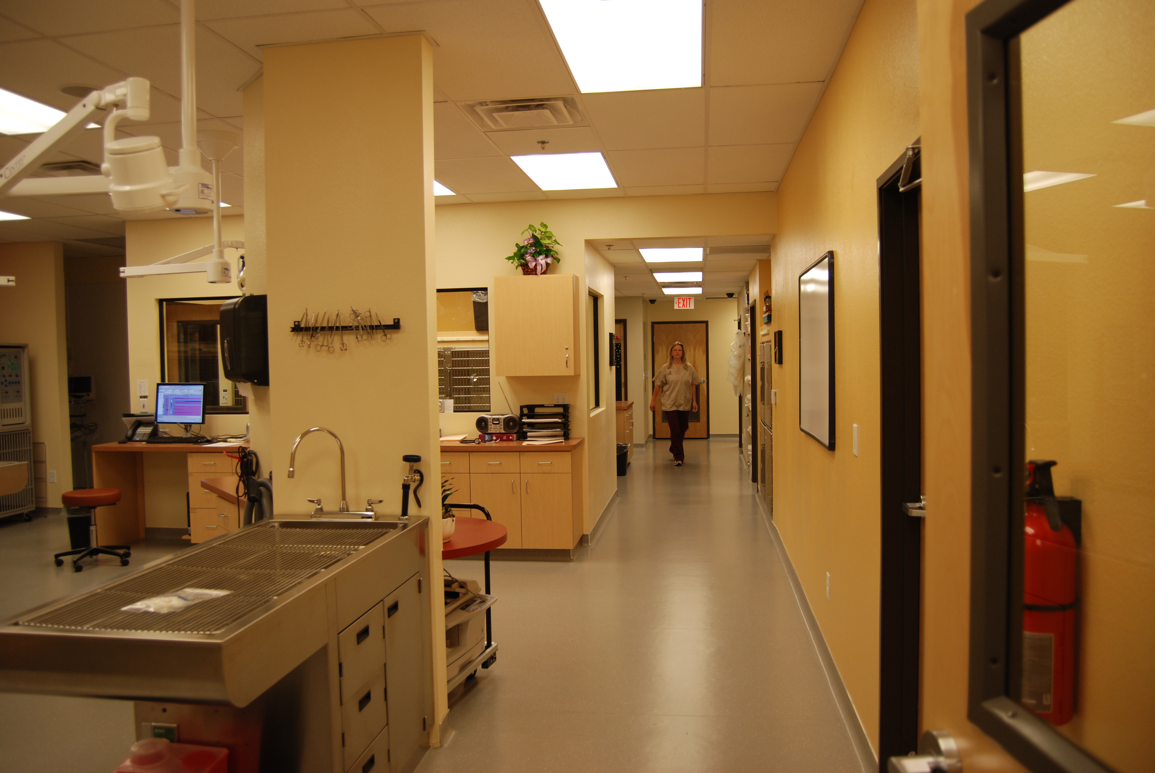 Treatment Area
