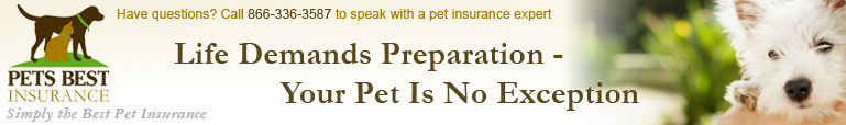 Pets Best Home Page