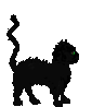 Boo Cat