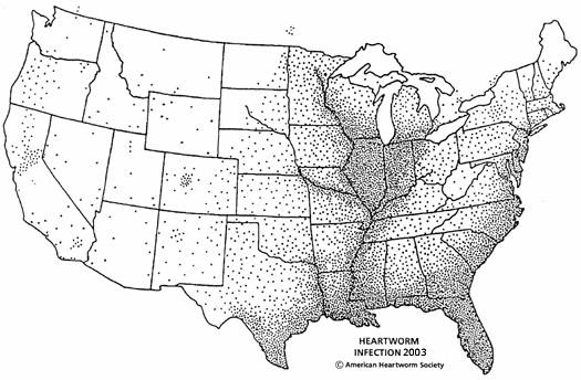 Heartworm Infection in United States