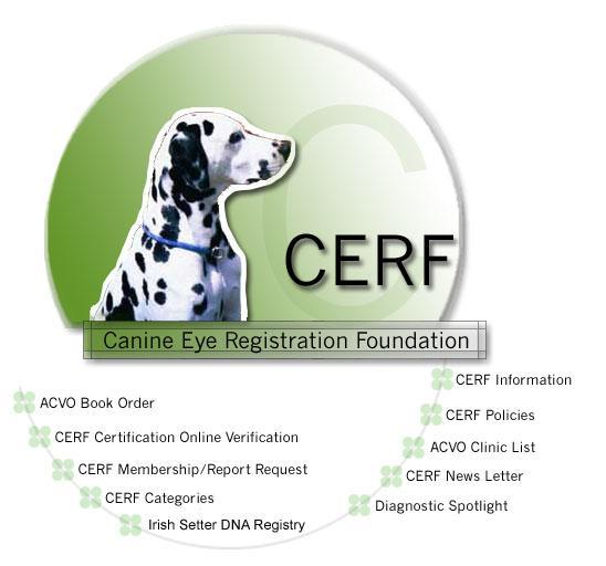 CERF Logo