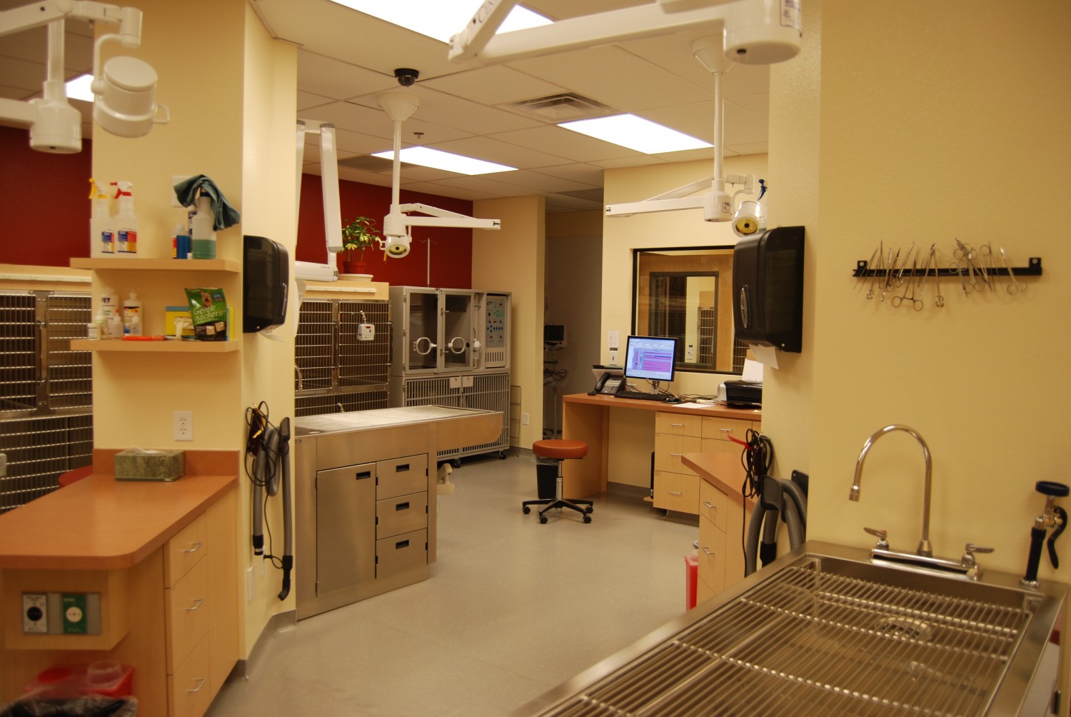 Procedure Area