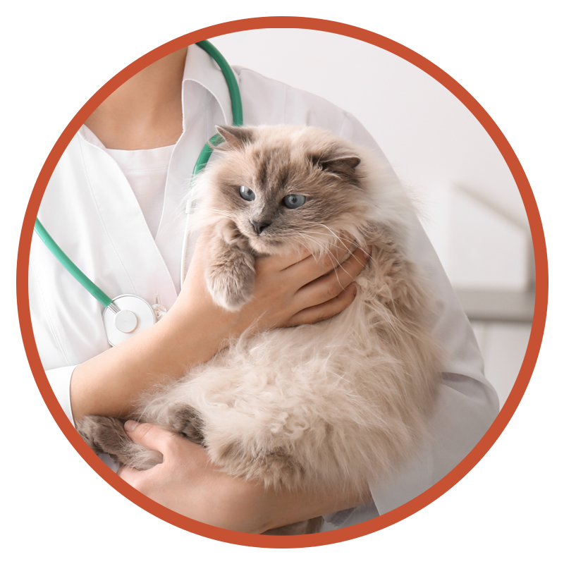 Veterinary Services