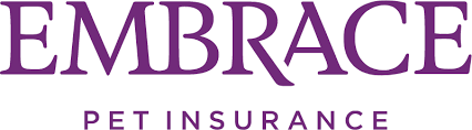 ebrace logo