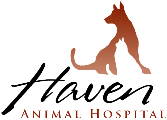 Haven Animal Hospital Logo