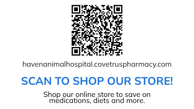 Pharmacy QR Code 